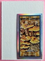 2021 Topps Chrome Allen & Ginter Mini Worlds Largest #MWL-19 Honey Fungus