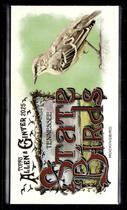 2025 Topps Allen & Ginter Mini State Birds #SB-42 Mockingbird|Tennessee