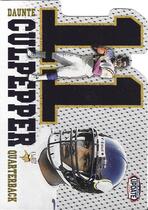 2002 Pacific Heads Update Big Numbers #13 Daunte Culpepper