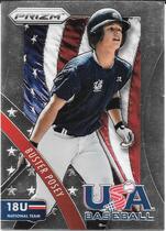2014 Panini Prizm USA Baseball #10 Buster Posey