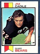 1973 Topps Base Set #353 Jim Cadile