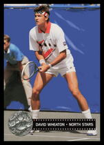 1991 Pro Set Platinum #294 David Wheaton