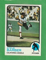 1973 Topps Base Set #36 Steve Barber