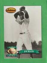 1993 Ted Williams Base Set #132 Joe Black