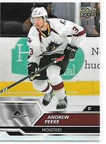 2019 Upper Deck AHL #42 Andrew Peeke