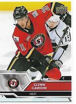 2019 Upper Deck AHL #48 Glenn Gawdin