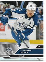 2019 Upper Deck AHL #59 Cameron Gaunce