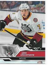 2019 Upper Deck AHL #61 Jake Leschyshyn