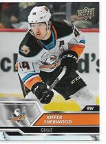 2019 Upper Deck AHL #66 Kiefer Sherwood