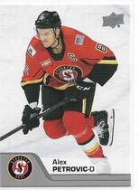 2020 Upper Deck AHL #13 Alex Petrovic