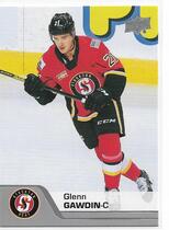 2020 Upper Deck AHL #29 Glenn Gawdin