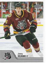 2020 Upper Deck AHL #41 Joey Keane