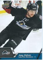 2014 Upper Deck AHL #103 Joey Hishon