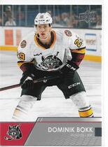2021 Upper Deck AHL #67 Dominik Bokk