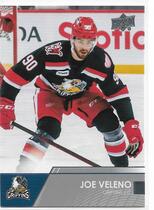 2021 Upper Deck AHL #74 Joe Veleno