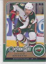 2008 Upper Deck OPC Update #635 Andrew Brunette