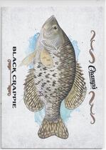 2015 Upper Deck Champs Fish #F-2 Black Crappie
