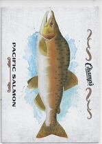 2015 Upper Deck Champs Fish #F-18 Pink Salmon