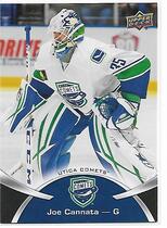 2015 Upper Deck AHL #31 Joe Cannata