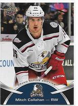 2015 Upper Deck AHL #78 Mitch Callahan
