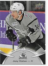 2015 Upper Deck AHL #95 Joey Hishon