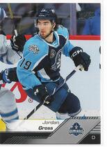 2022 Upper Deck AHL #96 Jordan Gross