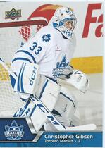 2014 Upper Deck AHL #33 Christopher Gibson