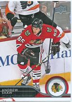 2014 Upper Deck Base Set Series 2 #287 Andrew Shaw