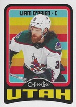 2024 Upper Deck O-Pee-Chee OPC Retro #193 Liam Obrien
