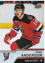 2018 Upper Deck AHL #44 Joey Anderson