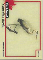 2025 Upper Deck Parkhurst Canadian Birds #BIRDS-4 Great Blue Heron