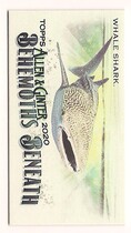 2020 Topps Allen & Ginter Mini Behemoths Beneath #MGB-4 Whale Shark