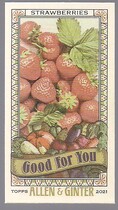 2021 Topps Allen & Ginter Mini Good for You #GFY-14 Strawberries
