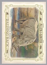 2021 Topps Allen & Ginter Rallying Back #RB-7 White Rhino