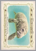 2021 Topps Allen & Ginter Rallying Back #RB-10 West Indian Manatee