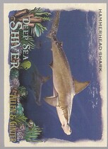 2021 Topps Allen & Ginter Deep Sea Shiver #DSS-6 Hammerhead Shark