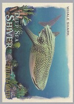 2021 Topps Allen & Ginter Deep Sea Shiver #DSS-9 Whale Shark