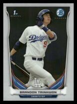 2014 Bowman Chrome Prospects #BCP31 Brandon Trinkwon