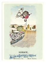 2010 Topps Allen & Ginter #54 Tony Hawk