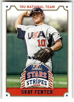 2015 Panini USA Stars and Stripes #40 Gray Fenter