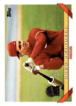 1993 Topps Base Set #515 Greg Swindell