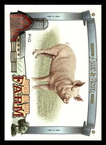 2020 Topps Allen & Ginter Down on the Farm #DF-P Pig