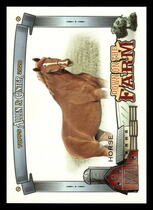 2020 Topps Allen & Ginter Down on the Farm #DF-H Horse