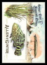 2017 Topps Allen & Ginter Sport Fish and Fishing Lures #SFL-12 Grouper