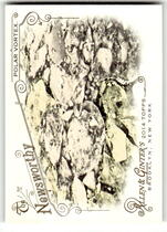 2014 Topps Allen & Ginter #302 Polar Vortex