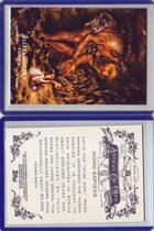 2011 Topps Allen and Ginter Ascent of Man #AOM24 Homo Sapiens