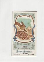 2011 Topps Allen and Ginter Mini Portraits of Penultimacy #PP5 The Hare