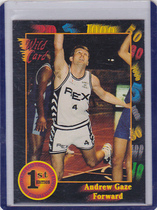 1991 Wild Card Base Set #45 Andrew Gaze