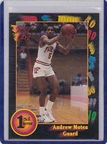 1991 Wild Card Base Set #107 Andrew Moten