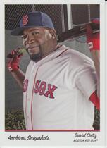 2016 Topps Archives Snapshots #AS-DO David Ortiz